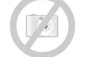 Chính sách bảo hành